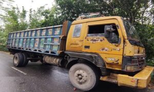 সালথায় ট্রাক চাপায় প্রাণ গেল মোটরসাইকেল আরোহীর