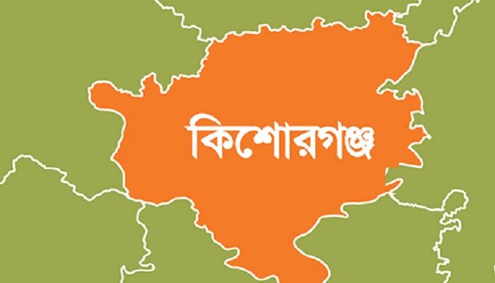 কিশোরগঞ্জ থেকে বিএনপি ৫ নেতাকে তুলে নিলো ডিবি পুলিশ