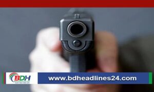 নীলফামারীতে বড় ভাইয়ের শটগানের গুলিতে আহত ছোট ভাই