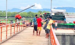 ২১ দিনপর সচল হলো টেকনাফ স্থলবন্দরে আমদানি-রপ্তানি