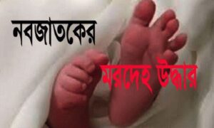 শেরপুরে হাসপাতাল চত্ত্বর থেকে নবজাতকের মরদেহ উদ্ধার