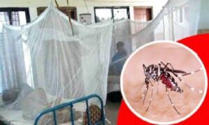 দেশজুড়ে ডেঙ্গুতে প্রাণ গেল আরও ৬ জনের