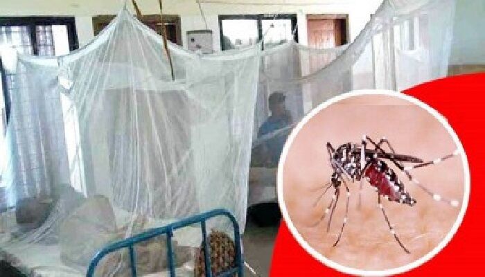 দেশে ডেঙ্গুতে আরও ২ জনের মৃত্যু