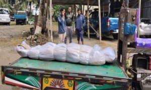 ফরিদপুরে ব্রিজের নিচে পড়েছিল কলেজছাত্রের মরদেহ